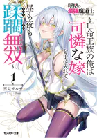 墜星の最強魔道士 〜亡命王族の俺は可憐な嫁を手に入れて、昼も夜も蹂躙無双〜（ノベル）