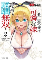 墜星の最強魔道士 〜亡命王族の俺は可憐な嫁を手に入れて、昼も夜も蹂躙無双〜（ノベル） 2