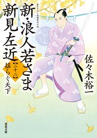 新・浪人若さま 新見左近
