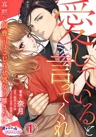 愛していると言ってくれ 寡黙な御曹司はこじらせ処女を離さない（単話）