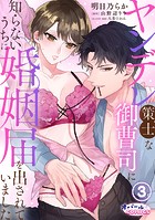 ヤンデレ策士な御曹司に知らないうちに婚姻届を出されていました3