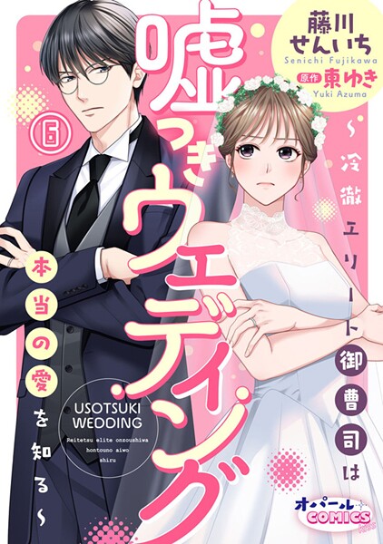 嘘つきウェディング〜冷徹エリート御曹司は本当の愛を知る〜6