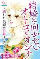 結婚に向かないオトコとオンナ〜別れた夫婦が再婚するには〜