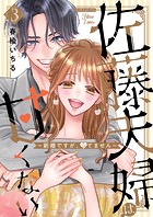 佐藤夫婦は甘くない～新婚ですが、シてません～