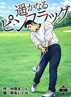 遥かなるピンフラッグ 1