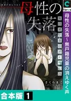 母性の失落〜無戸籍児童の消えゆく声【合本版】