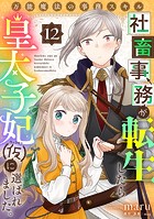 万能魔法の事務スキル〜社畜事務が転生したら皇太子妃（仮）に選ばれました。（12）