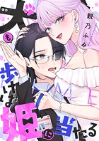 犬も歩けば姫に当たる（4）