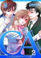 蜜辱CA〜上空33000フィートの檻〜 （2） 3