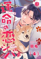 運命の恋シバ 第4話