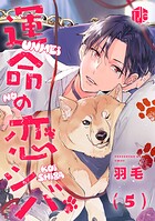 運命の恋シバ 第5話