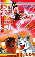 銀牙―流れ星 銀― 第13巻