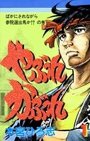 やぶれかぶれ