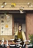 ねこまた。
