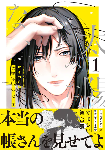 太陽みたいな、【電子限定おまけ付き】 1巻
