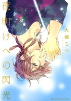 夜明けへの閃光