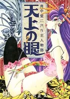 壺中堂二代目主人物語 天上の眼