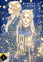 どうやら誰かの回帰に巻き込まれたようです 【分冊版】 4話