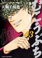 むこうぶち 高レート裏麻雀列伝 （43）