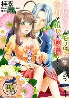 乙女ゲームのモブに転生したので全力で推しを応援します！ 蕩けるキスは誰のもの？（単話）