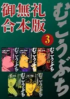 むこうぶち 高レート裏麻雀列伝 【御無礼合本版】（3）