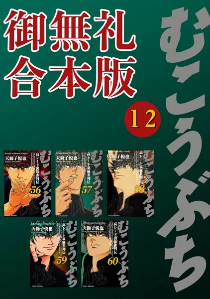 むこうぶち 高レート裏麻雀列伝 【御無礼合本版】（12）