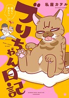 ブリちゃん日記 猫なら産みたい 1