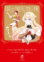 国王陛下と甘い夜【電子限定特典付き】 （3）