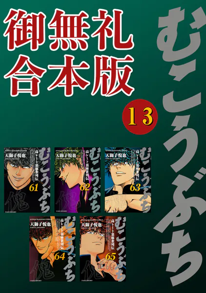 むこうぶち 高レート裏麻雀列伝 【御無礼合本版】（13）