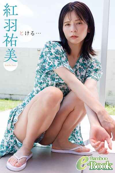 紅羽祐美「とける…」 表紙