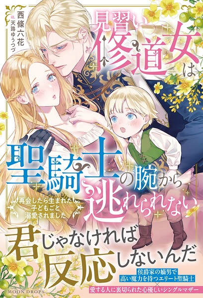 見習い修道女は聖騎士の腕から逃れられない 再会したら生まれた子どもごと溺愛されました