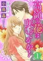 高嶺の花は咲いてるか？