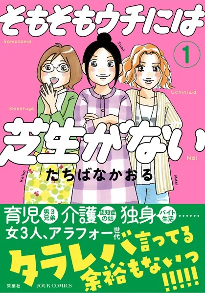 そもそもウチには芝生がない : 1
