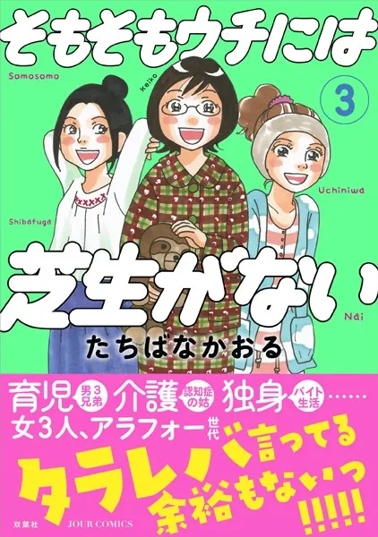 そもそもウチには芝生がない : 3