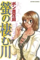 螢の棲む川