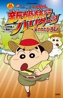 映画クレヨンしんちゃん 新婚旅行ハリケーン〜失われたひろし〜