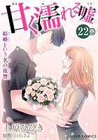 甘く濡れる嘘〜結婚という名の復讐〜 : 22