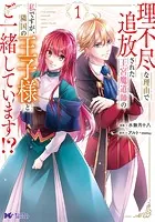理不尽な理由で追放された王宮魔道師の私ですが、隣国の王子様とご一緒しています！？（コミック）