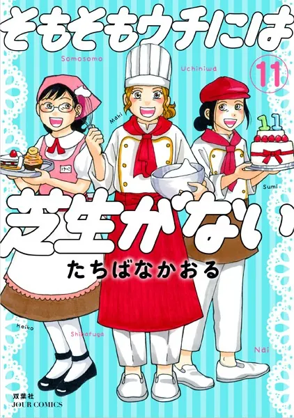 そもそもウチには芝生がない : 11