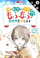 神に転生した少年がもふもふと異世界を旅します（コミック） 分冊版 : 9