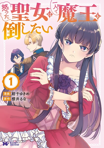 怒った聖女は一人で魔王を倒したい（コミック）【期間限定 無料お試し版 閲覧期限2025年9月3日】