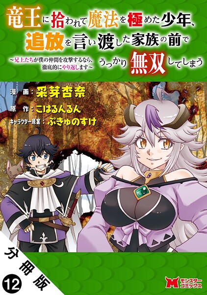竜王に拾われて魔法を極めた少年、追放を言い渡した家族の前でうっかり無双してしまう〜兄上たちが僕の仲間を攻撃するなら、徹底的にやり返します〜(コミック) 分冊版 : 12