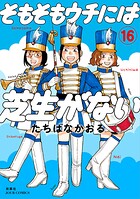 そもそもウチには芝生がない