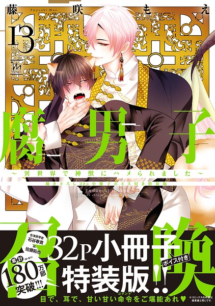 腐男子召喚〜異世界で神獣にハメられました〜 : 13 【描き下ろし32p小冊子ボイス付き特装版】【特別描き下ろし漫画付き】