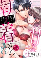執着カレシに社内でもベッドでもグズグズに甘やかされています。12