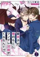 腐男子の俺のもとにツンデレ淫魔がくるなんて！？2
