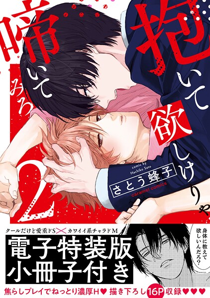 抱いて欲しけりゃ啼いてみろ【単行本版/電子特装版小冊子付き】2 | DMMブックスデータベース