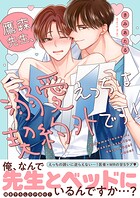 鷹森先生、溺愛えっちは契約外です！【電子単行本版/限定特典まんが付き】
