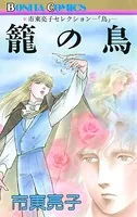 市東亮子(しとうりょうこ)の作品一覧 - マンガ・電子書籍ならDMMブックス