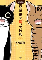 兄弟にゃんこ スウとクウ